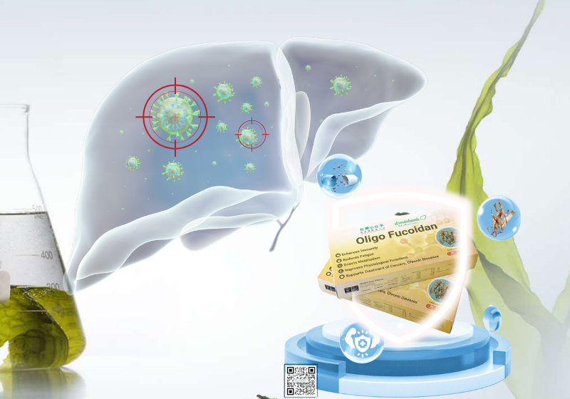 OLIGO FUCOIDAN - CHÌA KHÓA “VÀNG” TRONG ĐIỀU TRỊ UNG THƯ GAN