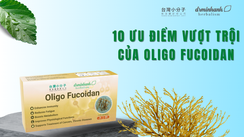 10 ƯU ĐIỂM VƯỢT TRỘI CỦA OLIGO FUCOIDAN