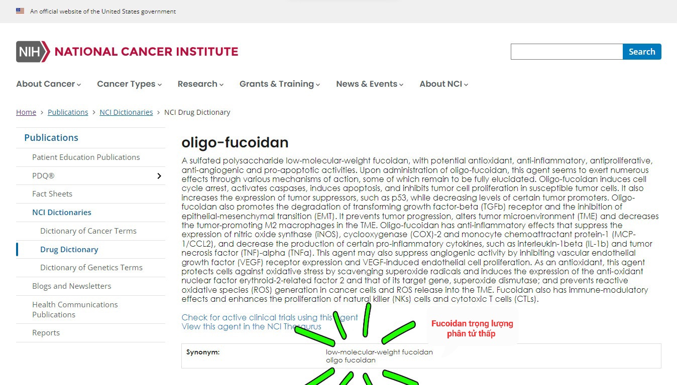 OLIGO FUCOIDAN được liệt kê trong NCI Drug Dictionary  (Từ điển thuốc của Viện Ung thư Quốc gia Hoa Kỳ)